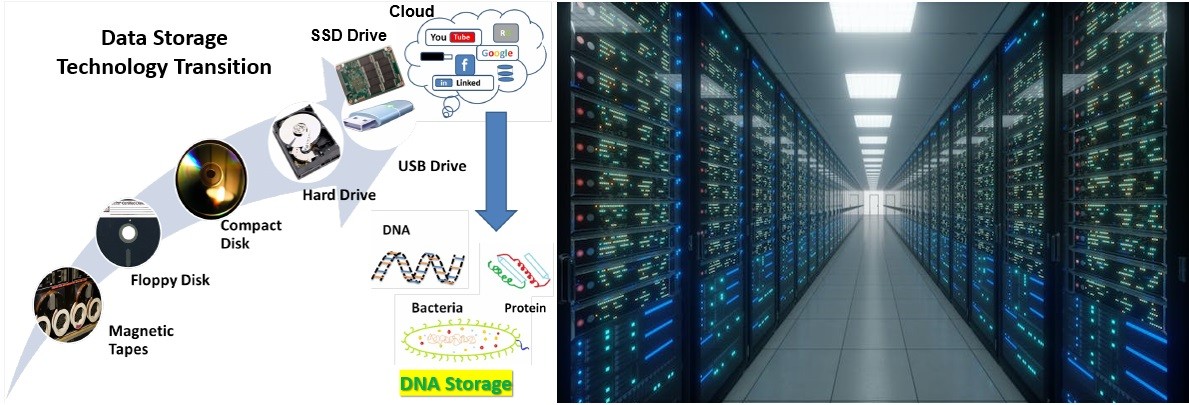 Molecular Data Storage Technology Using DNA to Archive Digital Information